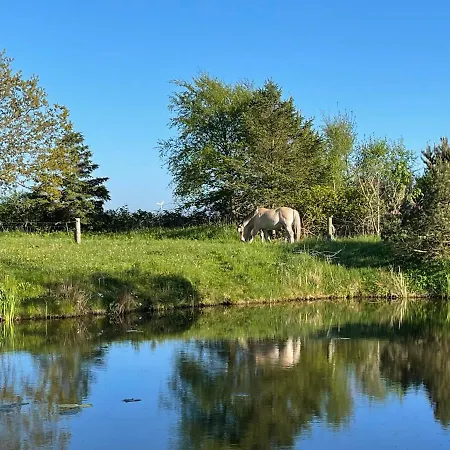 Vestjysk Naturcamping - Fjordviking